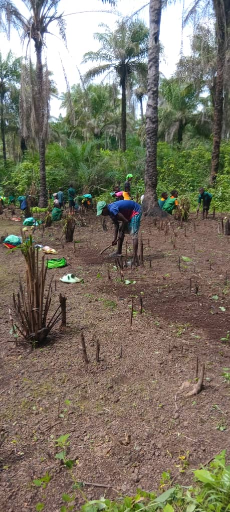 🌿 KDC Robat: Farming Against the Odds 🌿