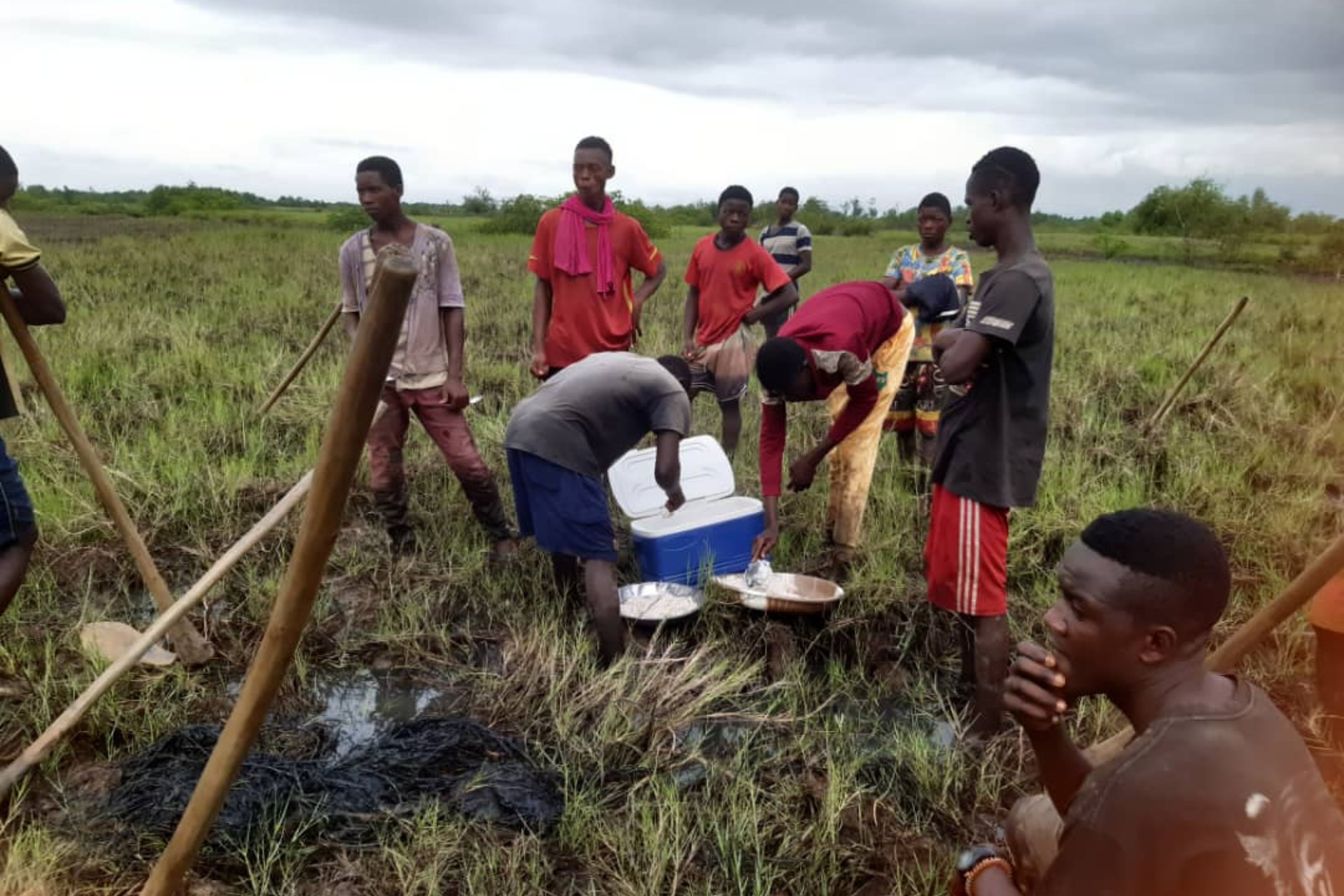 Children in School Garden