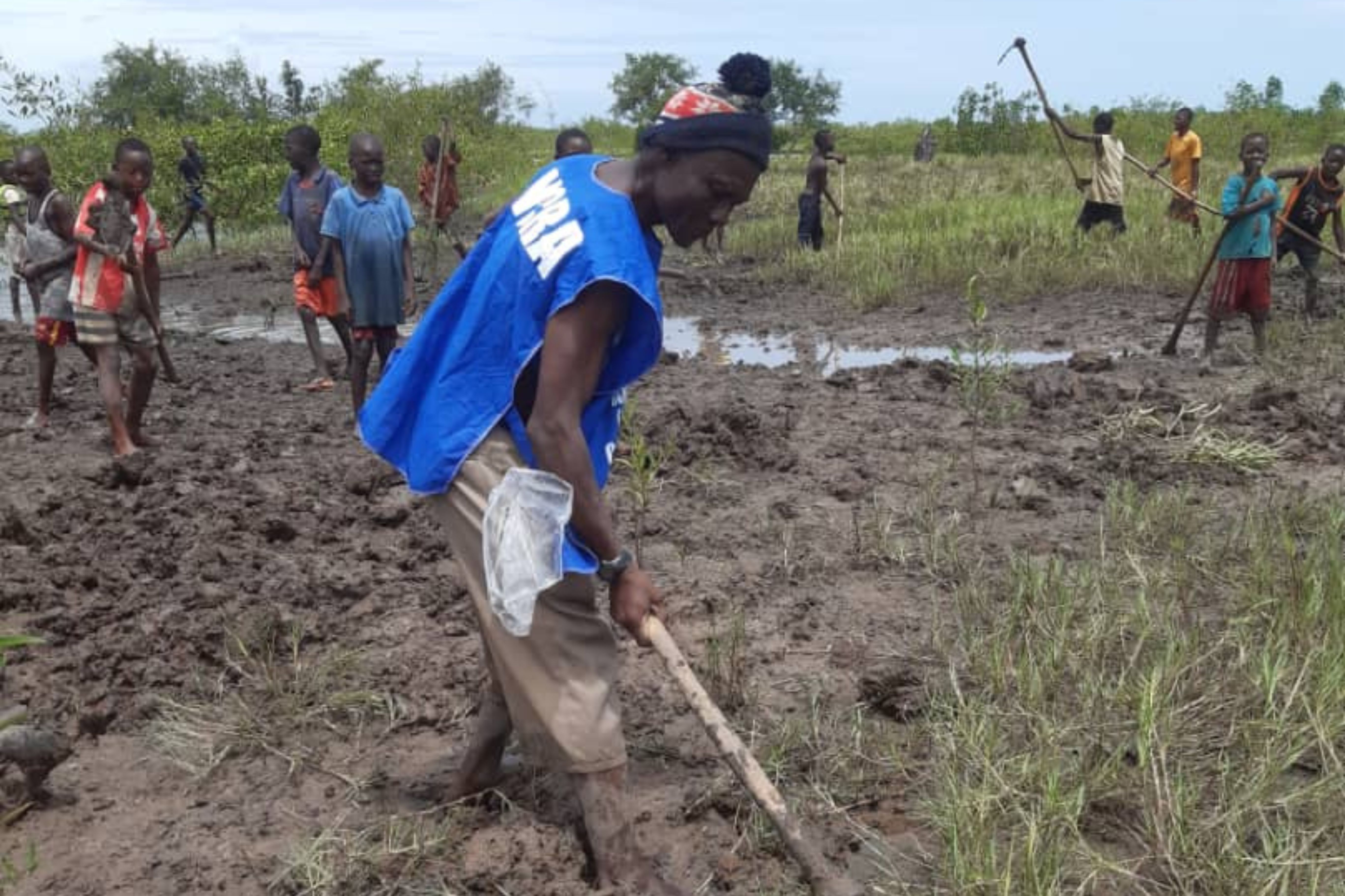 Library and Learning